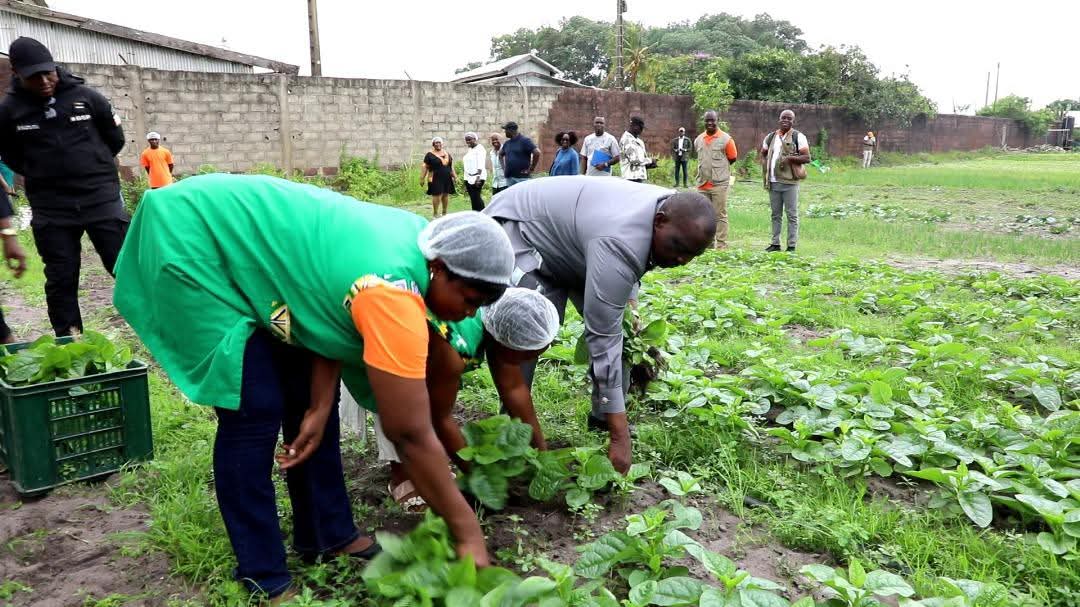 Côte d’Ivoire : Le  Projet de Développement des Chaînes de Valeurs Vivrières ( PDC2V) donne des Résultats Encourageants