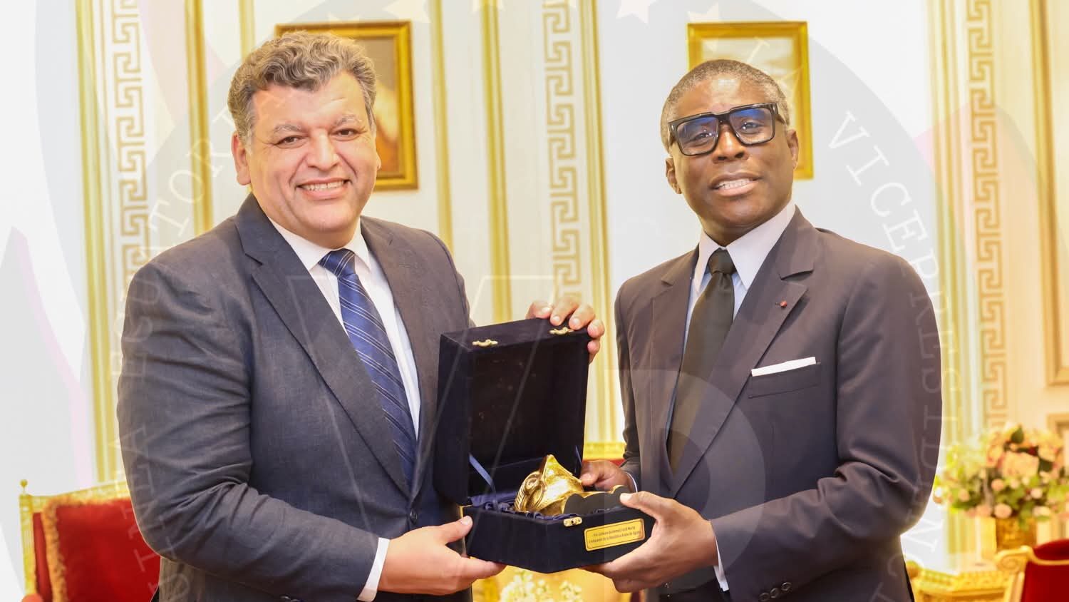 Guinée Équatoriale : Le Vice-président Nguema Obiang Invité par le Caire pour Visiter la Musée Égyptien