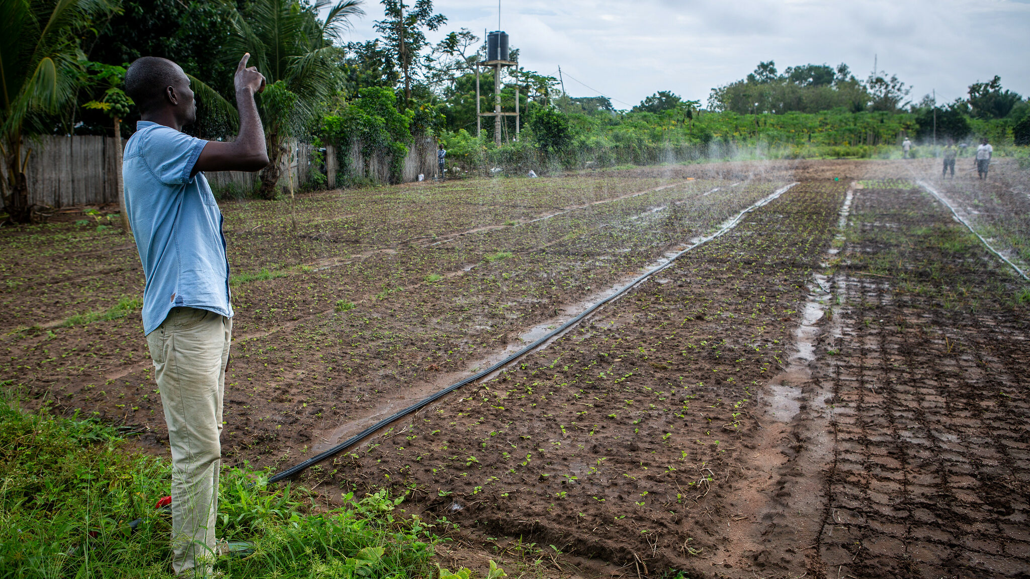 COP30: La BAD pilote plusieurs instruments financiers pour soutenir les pays africains face au changement climatique